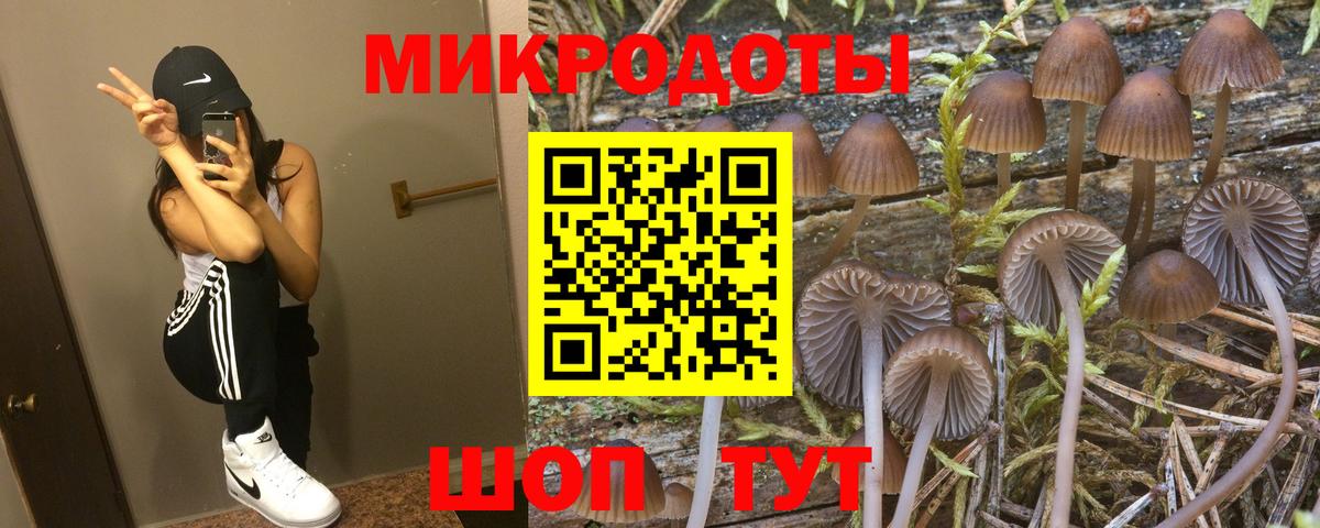 купить   Вход с VPN  Ногинск  Галлюциногенные грибы прущие грибы 